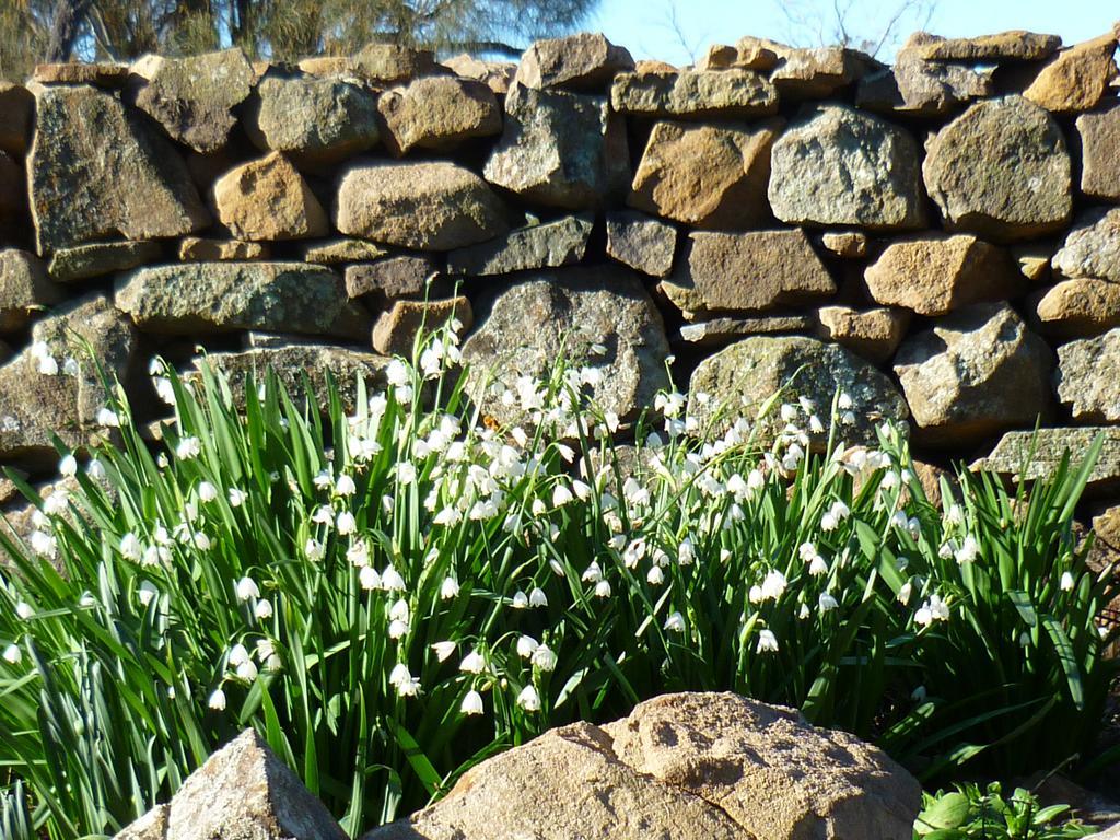 Wagners Cottages Swansea Kültér fotó